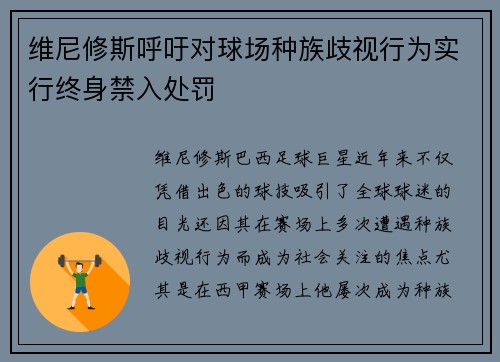 维尼修斯呼吁对球场种族歧视行为实行终身禁入处罚