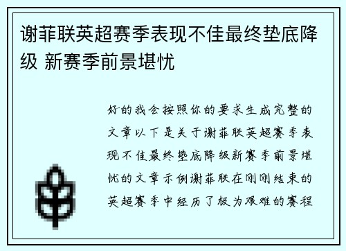 谢菲联英超赛季表现不佳最终垫底降级 新赛季前景堪忧